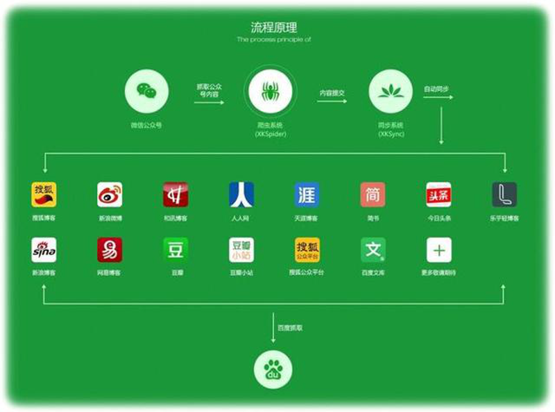 新媒体运营：风口上的新机遇