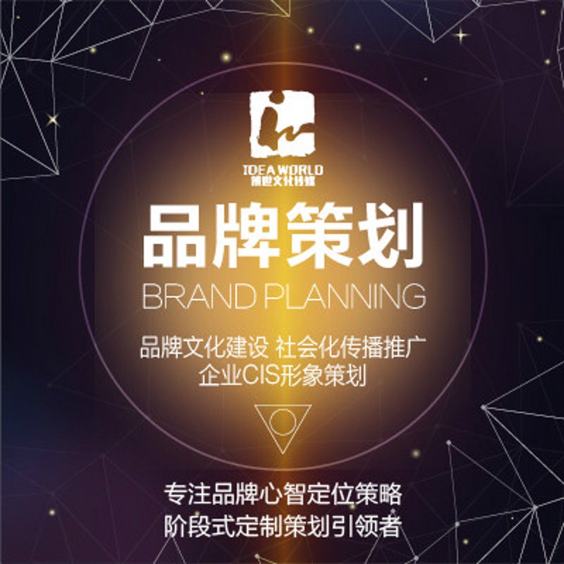 品牌策划：构建企业生命力的艺术
